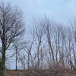 Apartmán Tiny -